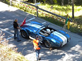 Cobra