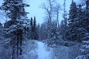 Weg