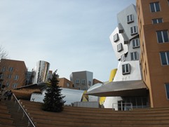 Massachusetts Institute of Technology