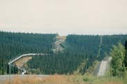 in der Landschaft