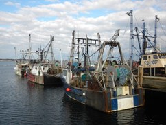 Hafen