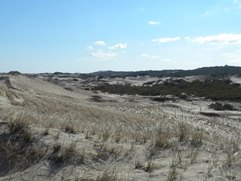 Sanddüne