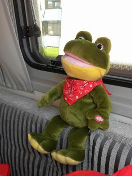 Froggy unser Reisepartner